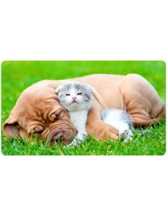 Tapis de bureau illustration chat et chien