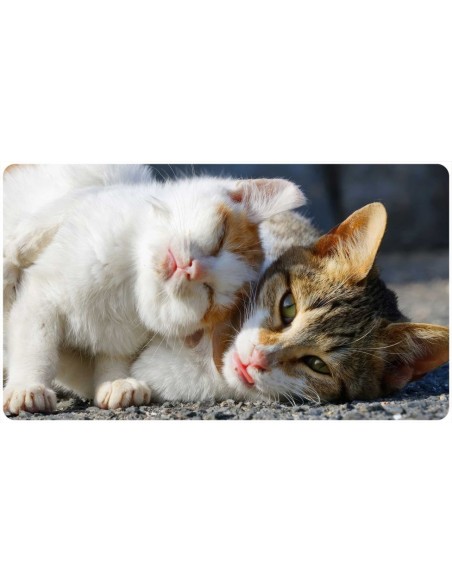 Tapis de bureau illustration de 2 chats