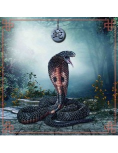 Tapis carré astro divination avec signe astrologiques chinois, le serpent