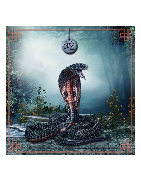 Tapis carré astro divination avec signe astrologiques chinois, le serpent