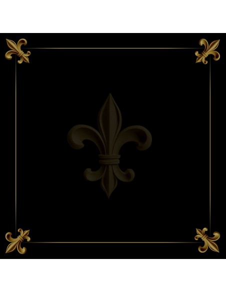 Tapis Multijeux carré fleur de lys noir