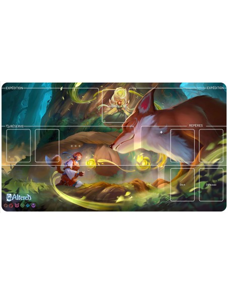 3 tapis personnalisés (2 tapis de 61x35cm en 2mm d'épaisseur avec coins arrondis + 1 tapis 54.5x9cm)