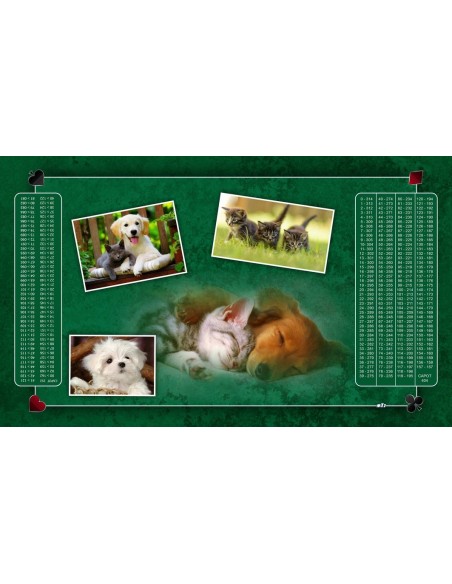 Tapis de Belote Rectangle - 100x60cm - MonTapisDeJeux Tapis de Belote Rectangle - 100x60cm - MonTapisDeJeux