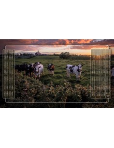 Tapis de Belote Rectangle - 100x60cm - MonTapisDeJeux