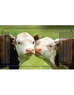 Tapis de Belote Rectangle - 100x60cm - MonTapisDeJeux