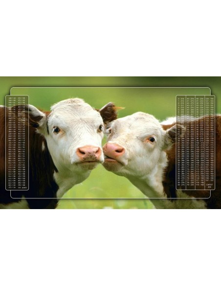 Tapis de Belote Rectangle - 100x60cm - MonTapisDeJeux