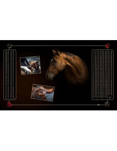 Pack Belote 100x60cm - Tapis + Jeu de carte + Dé + Housse de transport