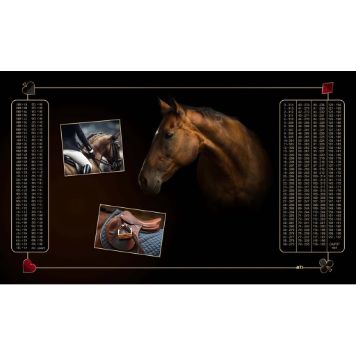 pack avec un tapis de belote, 2 jeu de carte, un dé et une housse de transport