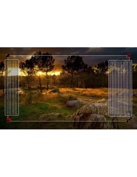 Tapis de Belote Rectangle - 100x60cm - MonTapisDeJeux