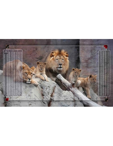 Tapis de Belote Rectangle - 100x60cm - MonTapisDeJeux