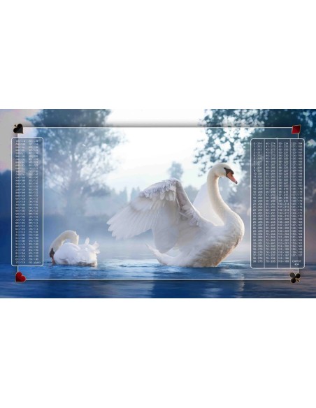 Tapis de Belote Rectangle - 100x60cm - MonTapisDeJeux