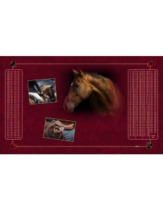 Tapis de Belote Rectangle - 100x60cm - MonTapisDeJeux