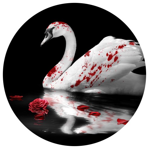 3 tapis ronds 50cm de diamètre + 1 tapis rond 55cm de diamètre 2mm d'épaisseur