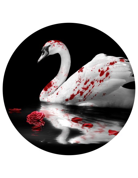 3 tapis ronds 50cm de diamètre + 1 tapis rond 55cm de diamètre 2mm d'épaisseur