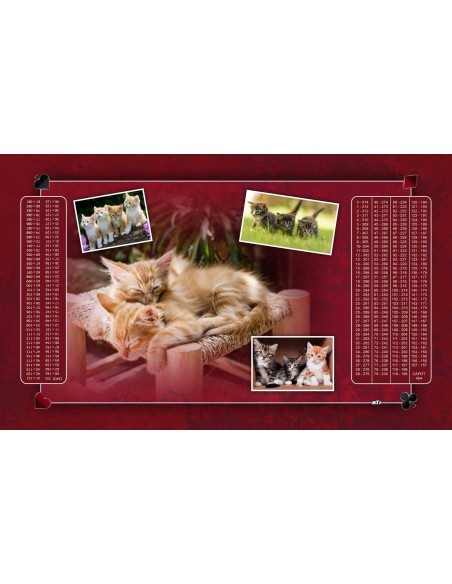 Tapis de Belote Rectangle - 100x60cm - MonTapisDeJeux